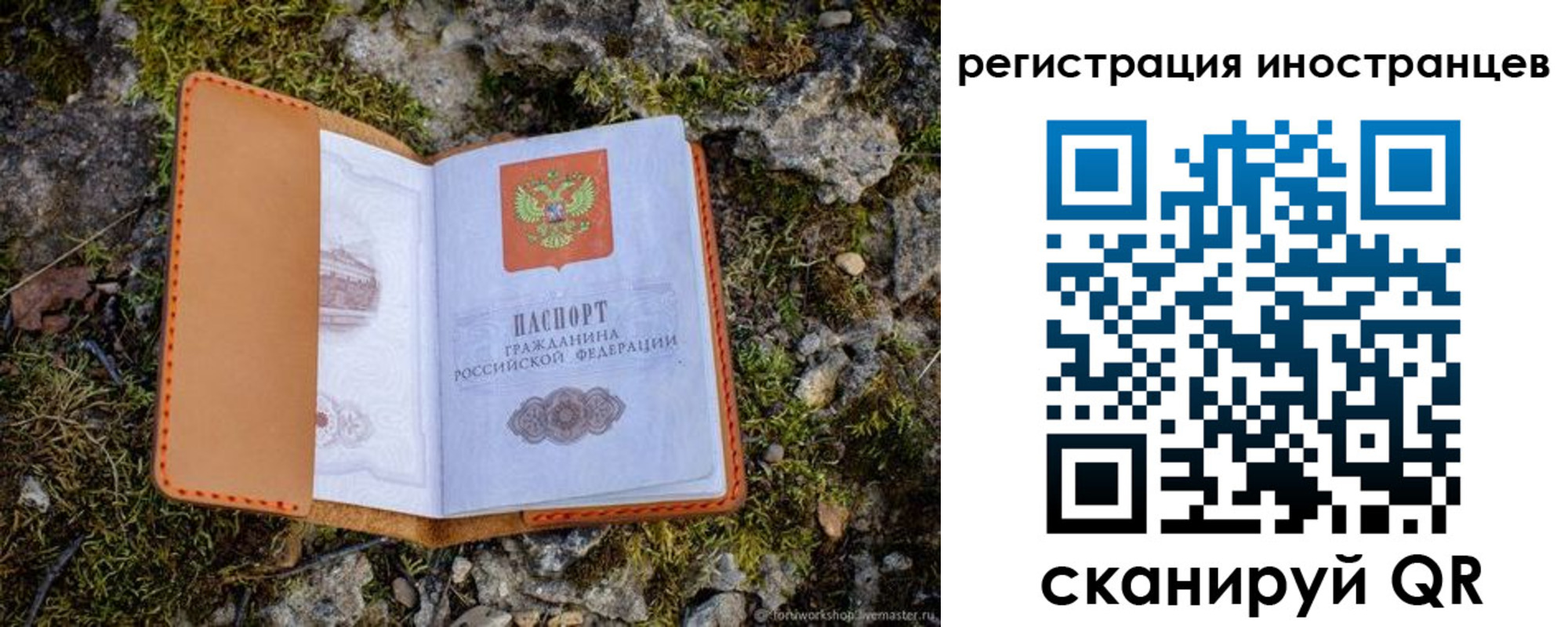 прописка паспорт в Московской области