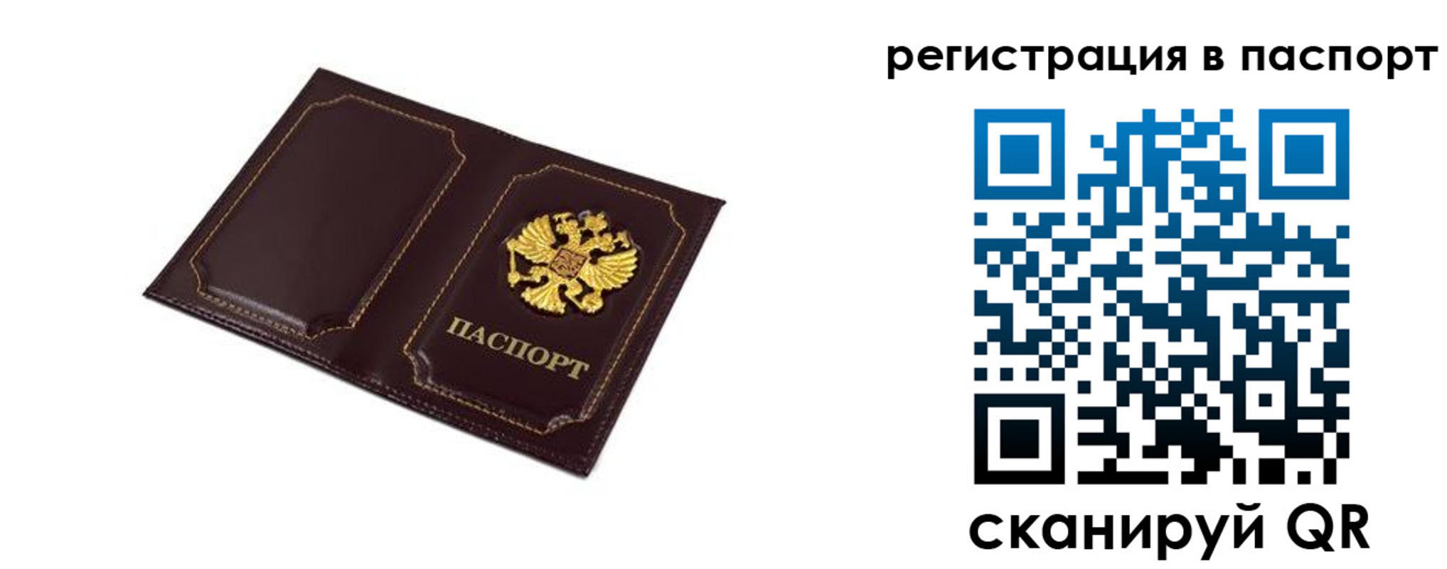 миграционный учет в Московской области